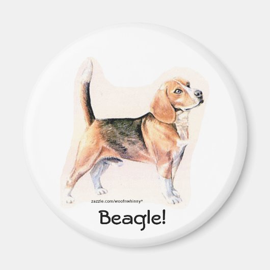 Aimant Beagle (Devant)