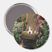 Aimant beagle dans la chaise de jardin (Recto/Verso)