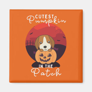 Aimant Beagle En Chiens Citrouilles Citrouille Cutest Dan