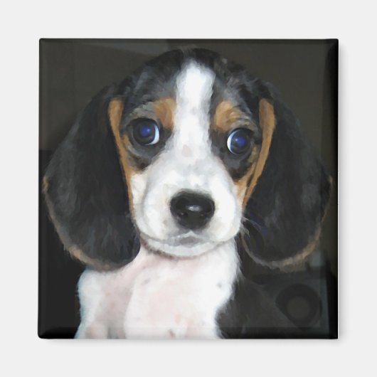 Aimant Beagle magnétique 2 (Devant)