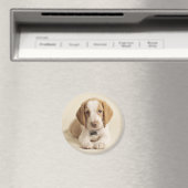 Aimant Beagle Puppy (In Situ (Lave-vaisselle))