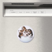Aimant Beagles dans Bucket (In Situ (Lave-vaisselle))