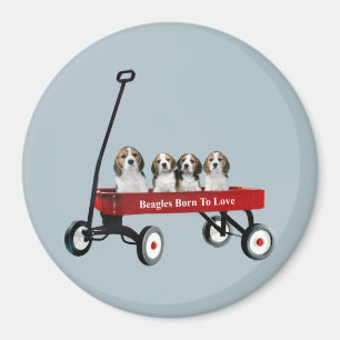 Aimant Beagles dans l'aimant de chariot