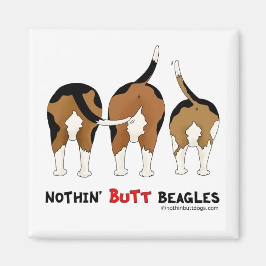 Aimant Beagles de boutons (Devant)