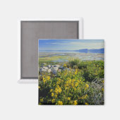 Aimant BEAR LAKE, UT, US, fleur de singe et algues, (Recto/Verso)