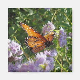 Aimant Beau Bright Orange Monarch Butterfly Reting