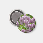 Aimant Beau buisson de lilas- (Recto/Verso)