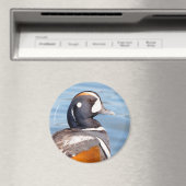 Aimant Beau canard arlequin sur le rocher (In Situ (Lave-vaisselle))