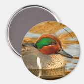 Aimant Beau canard Turquoise à ailes vertes sur l'étang d (Recto/Verso)