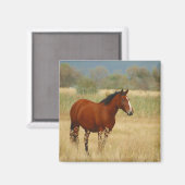 Aimant Beau Cheval (Recto/Verso)