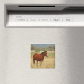 Aimant Beau Cheval (In Situ (Lave-vaisselle))