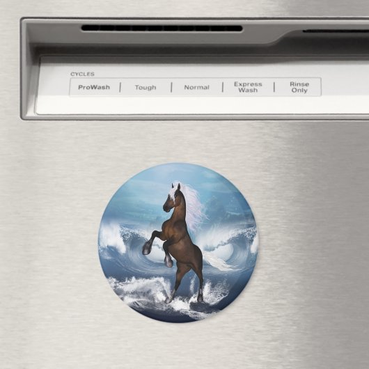 Aimant Beau cheval avec (In Situ (Lave-vaisselle))