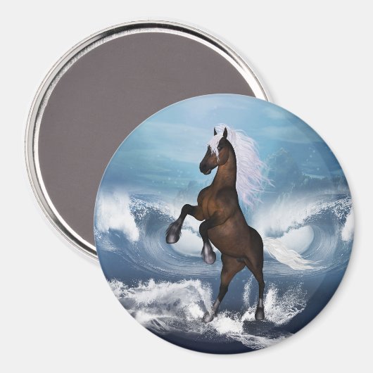 Aimant Beau cheval avec (Recto/Verso)