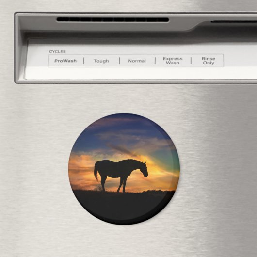 Aimant Beau Cheval dans Sunset Art (In Situ (Lave-vaisselle))