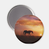 Aimant Beau cheval et Coucher du soleil Cheval photo Magn (Recto/Verso)