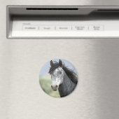Aimant Beau cheval gris (In Situ (Lave-vaisselle))