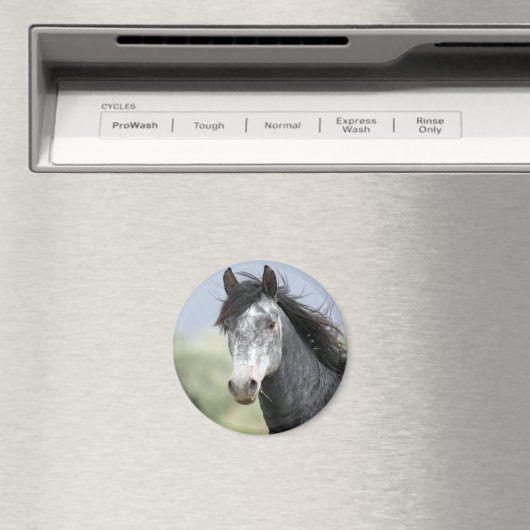 Aimant Beau cheval gris (In Situ (Lave-vaisselle))