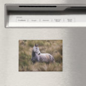 Aimant Beau cheval gris couleur (In Situ (Lave-vaisselle))