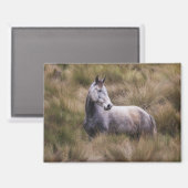 Aimant Beau cheval gris couleur (Recto/Verso)