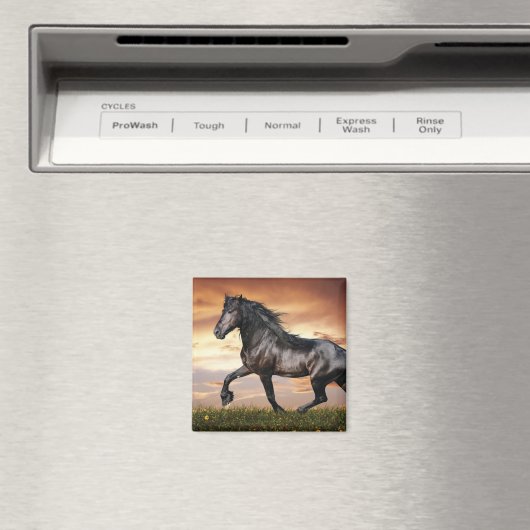 Aimant Beau Cheval Noir (In Situ (Lave-vaisselle))