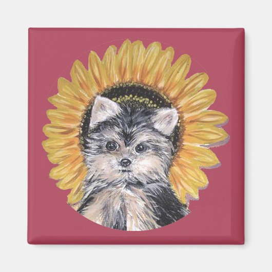 Aimant Beau chien Yorkshire Terrier (Devant)