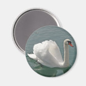 Aimant Beau cygne blanc (Recto/Verso)