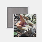 Aimant Beau Dragon Lil' Murph (Recto/Verso)