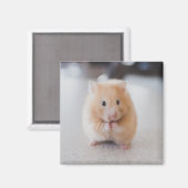 Aimant Beau hamster (Recto/Verso)
