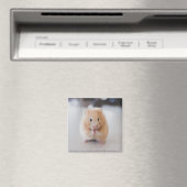 Aimant Beau hamster (In Situ (Lave-vaisselle))