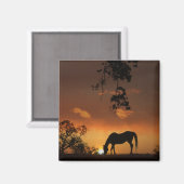Aimant Beau lever de soleil de jour avec cheval (Recto/Verso)