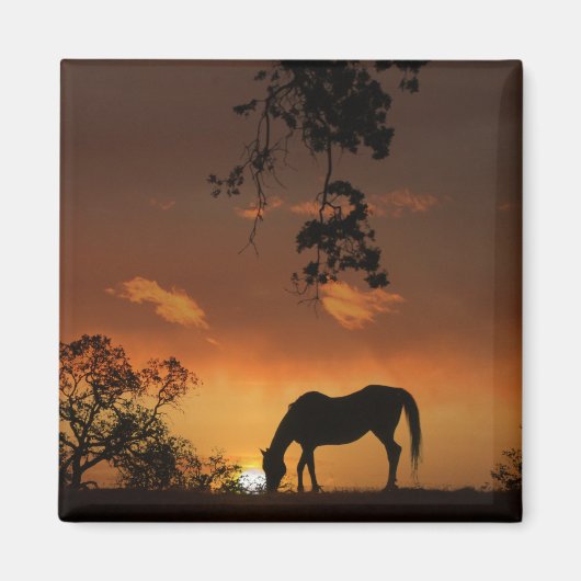 Aimant Beau lever de soleil de jour avec cheval (Devant)