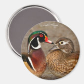 Aimant Beau moment de contact entre des canards en bois (Recto/Verso)