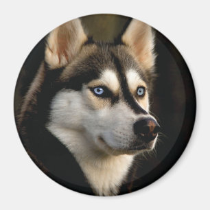 Aimant Beau Oreiller Husky Lrow