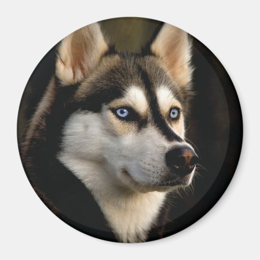 Aimant Beau Oreiller Husky Lrow (Devant)