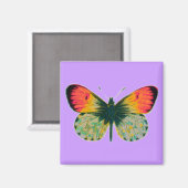 Aimant Beau Papillon (Recto/Verso)
