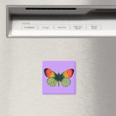 Aimant Beau Papillon (In Situ (Lave-vaisselle))