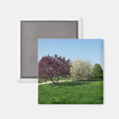 Aimant Beau paysage et arbres (Recto/Verso)