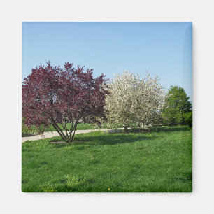 Aimant Beau paysage et arbres