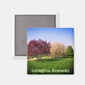 Aimant Beau paysage et arbres du Kentucky (Recto/Verso)