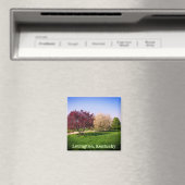 Aimant Beau paysage et arbres du Kentucky (In Situ (Lave-vaisselle))