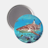 Aimant Beau requin (Recto/Verso)