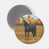 Aimant Beau Stallion Cheval du Quartier Noir (Recto/Verso)