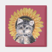 Aimant Beau Yorkshire Terrier Chien (Devant)