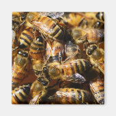 Aimant Beaucoup d'abeilles de miel (Devant)