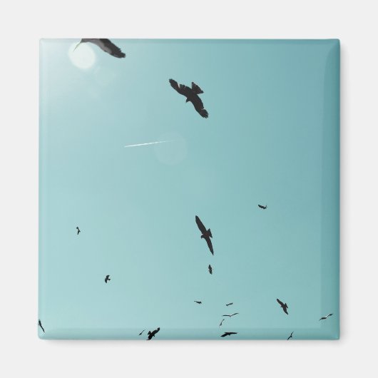 Aimant Beaucoup d'oiseaux et un controle (Devant)