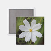 Aimant Beauté blanche simple (Recto/Verso)