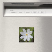 Aimant Beauté blanche simple (In Situ (Lave-vaisselle))