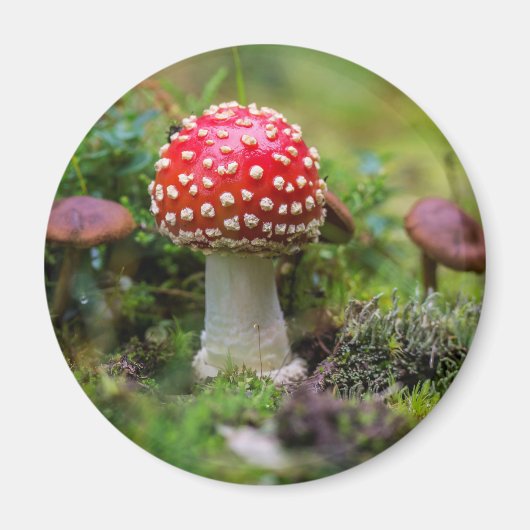 Aimant Beauté d'automne (Devant)