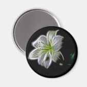 Aimant Beauté de la nature de la fleur de lys blanc (Recto/Verso)