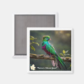 Aimant "Beauté en plumes" (Recto/Verso)